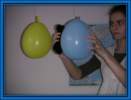Photo Number 7