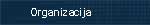 Organizacija