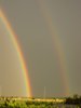 Maja Lesjak Rainbows